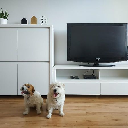 Uroczy Apartament Pod Skarpa Wadowice Exteriör bild