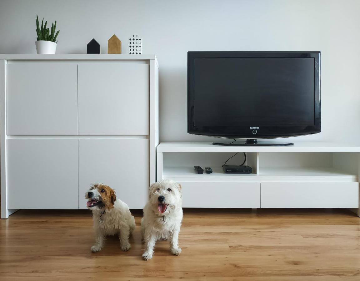 Uroczy Apartament Pod Skarpa Wadowice Exteriör bild